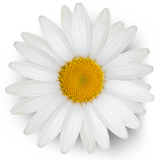 sovereigncreatorcoach